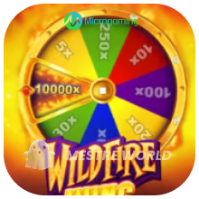 Microgaming302